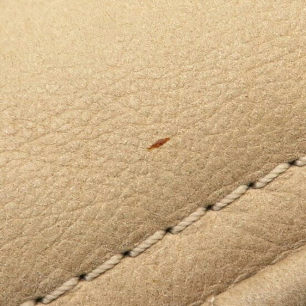 Loewe Handbag - Picture 4 of 9